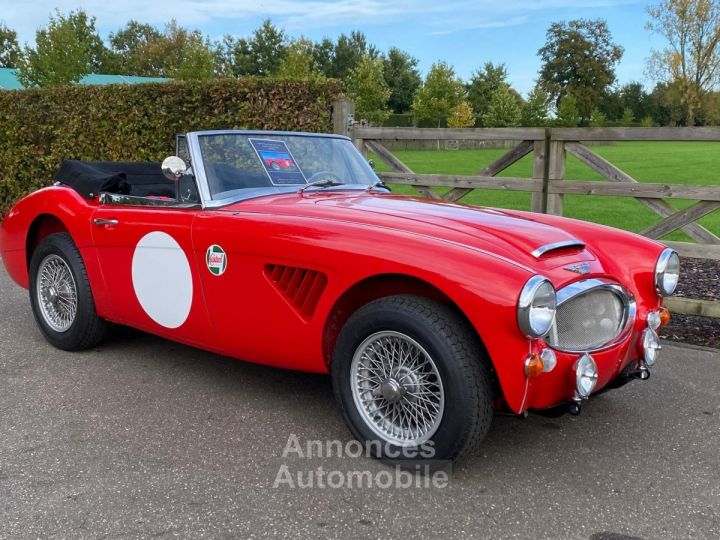 Austin Healey 3000 MKIII - BJ8 - 1967 - 15