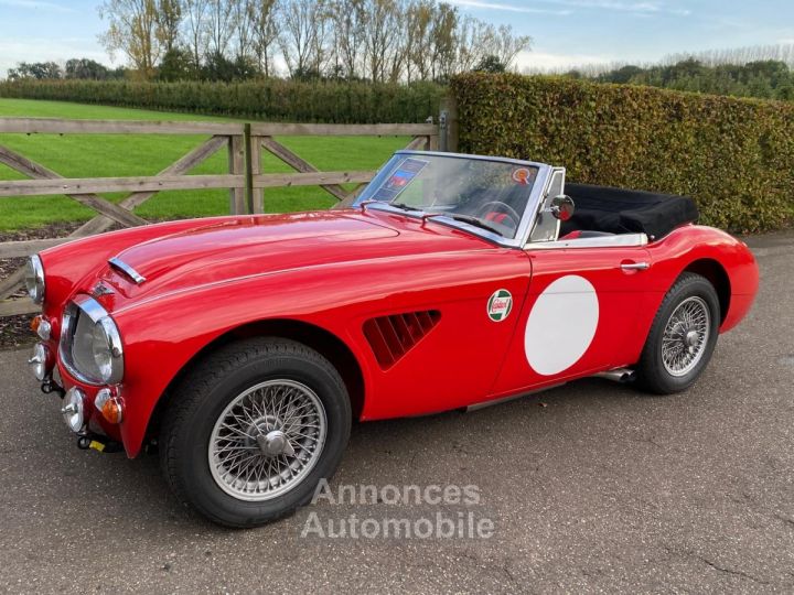 Austin Healey 3000 MKIII - BJ8 - 1967 - 20