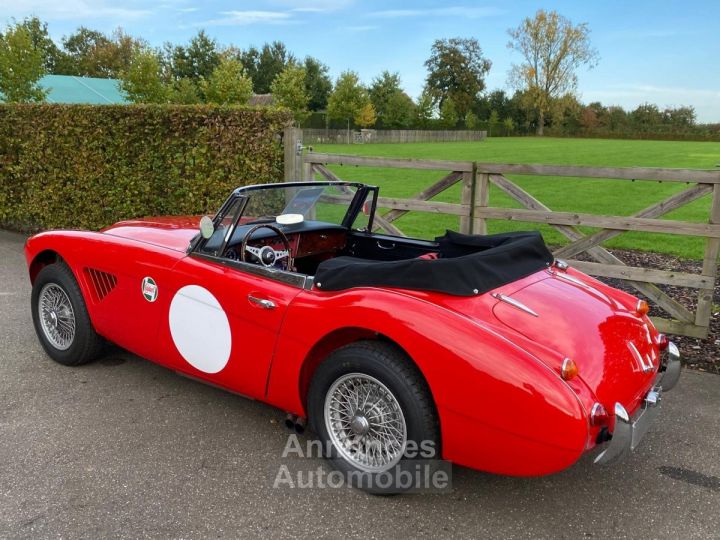 Austin Healey 3000 MKIII - BJ8 - 1967 - 22