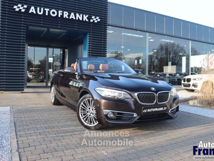 BMW Série 2 218 I CABRIO LUXURY NAVI H&K MEMORY LED - 20