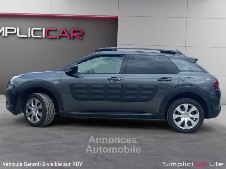 Citroen C4 Cactus BlueHDi 100 Shine - 4