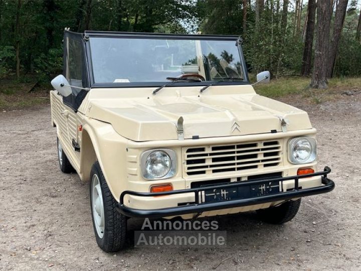 Citroen Mehari 600 cc 2 cilinder 29 BHP - 1