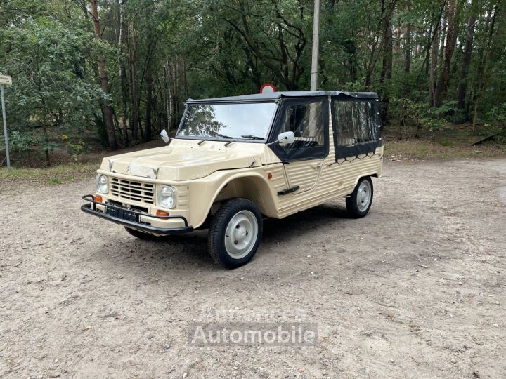 Citroen Mehari 600 cc 2 cilinder 29 BHP - 3