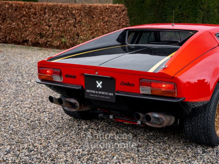 De Tomaso Pantera Factory Groupe 3 - Full History - 23