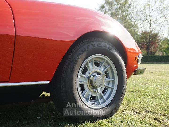 Fiat Dino Spider - 20