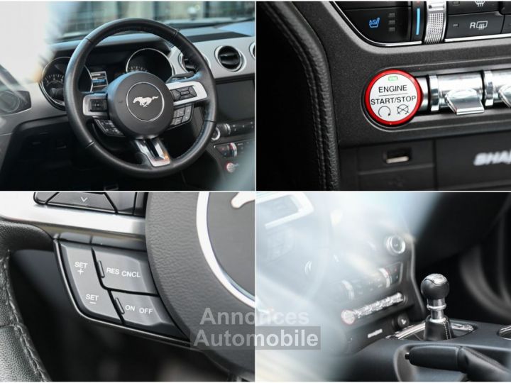 Ford Mustang Cabrio 2.3 EcoBoost Navi - 18