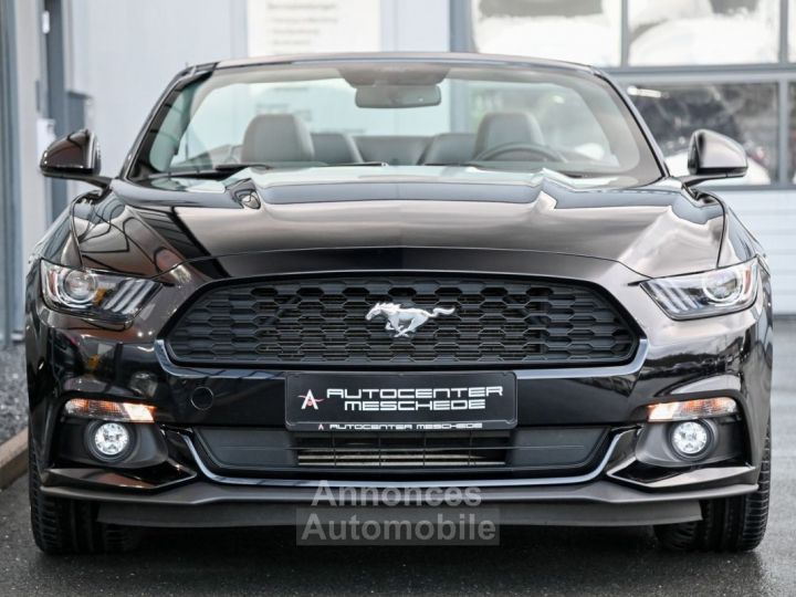 Ford Mustang Cabrio 2.3 EcoBoost Navi - 22