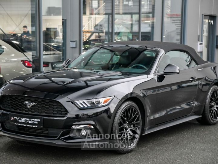 Ford Mustang Cabrio 2.3 EcoBoost Navi - 24