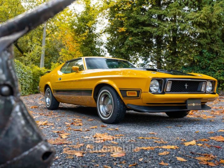 Ford Mustang Mach 1 - 2