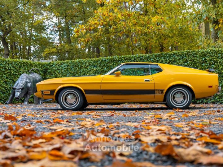 Ford Mustang Mach 1 - 6