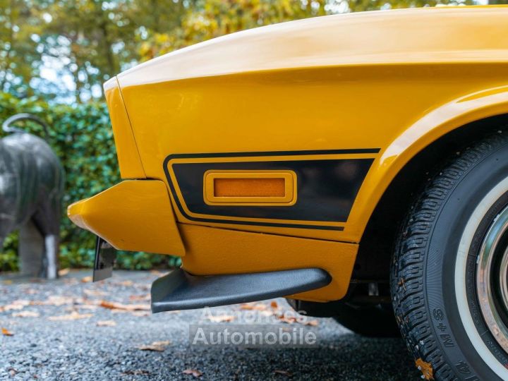 Ford Mustang Mach 1 - 8