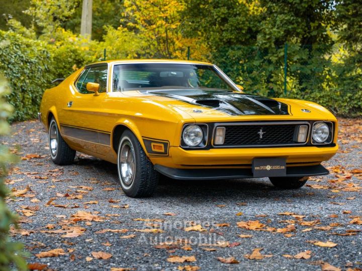 Ford Mustang Mach 1 - 12