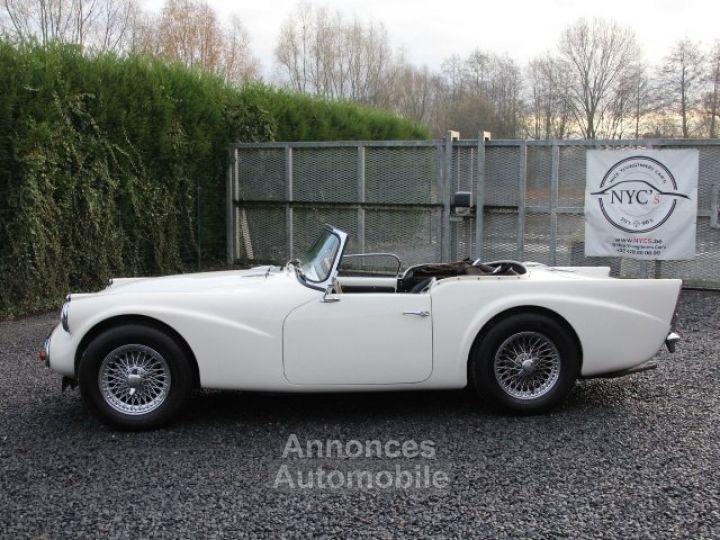 Jaguar Daimler SP 250 - 7