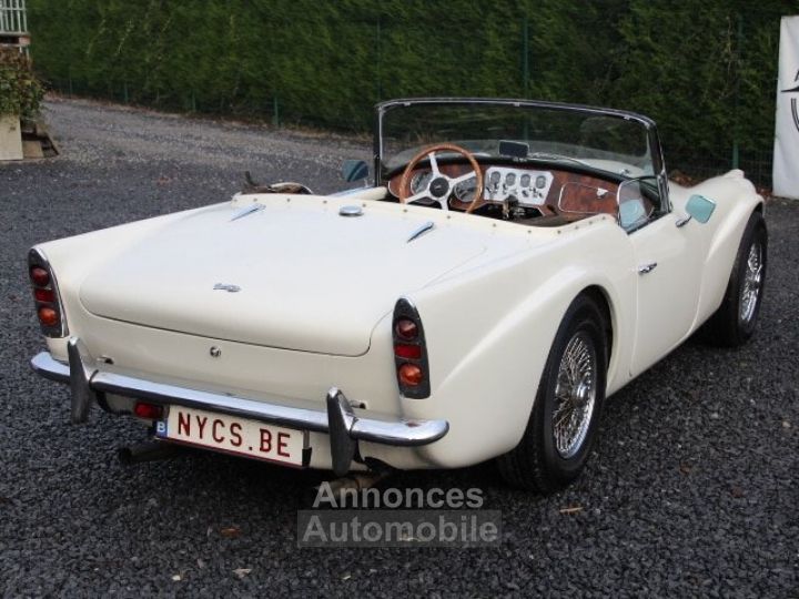 Jaguar Daimler SP 250 - 13