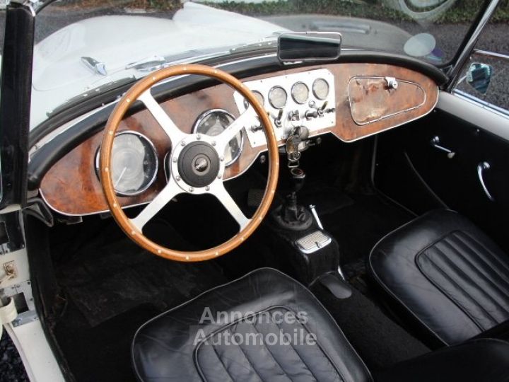 Jaguar Daimler SP 250 - 23