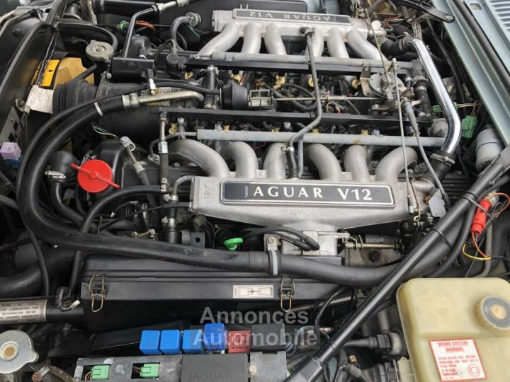 Jaguar XJS - 14