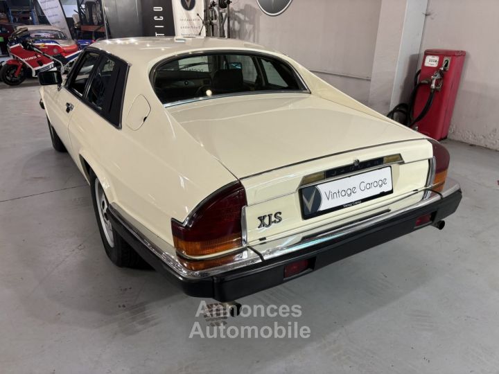 Jaguar XJS - 15