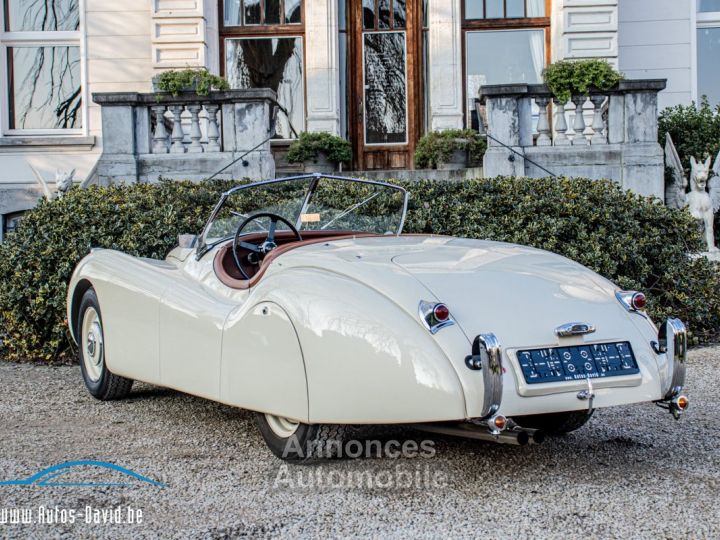 Jaguar XK120 XK 120 Open Top Speedster (OTS) LHD 1951 - OLDTIMER - GERESTAUREERD - MATCHING NUMBERS - SOFTTOP - CREAM WHITE - 3