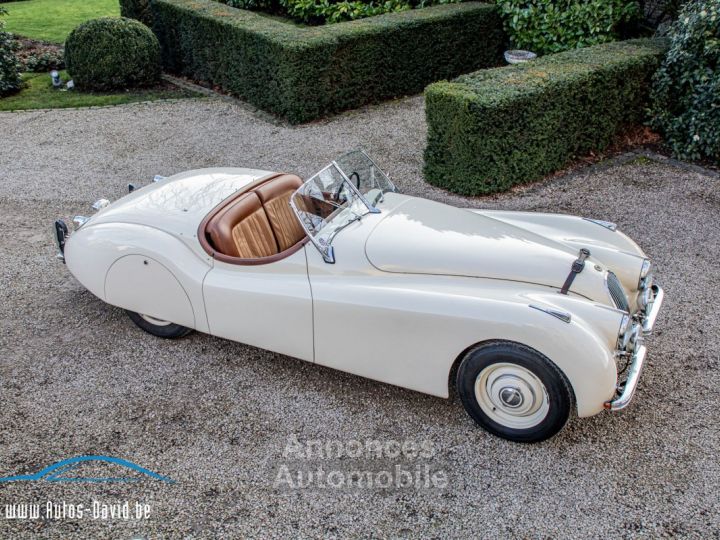 Jaguar XK120 XK 120 Open Top Speedster (OTS) LHD 1951 - OLDTIMER - GERESTAUREERD - MATCHING NUMBERS - SOFTTOP - CREAM WHITE - 6