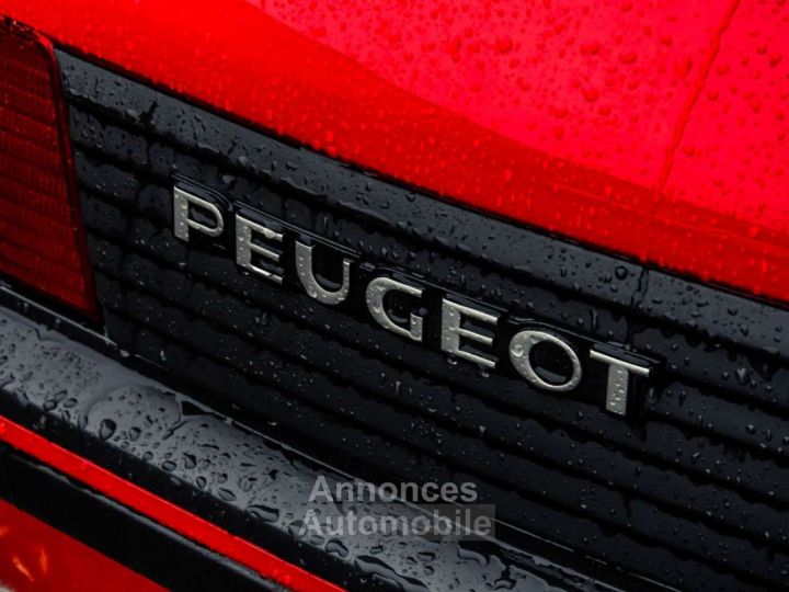 Peugeot 205 GTI - 11