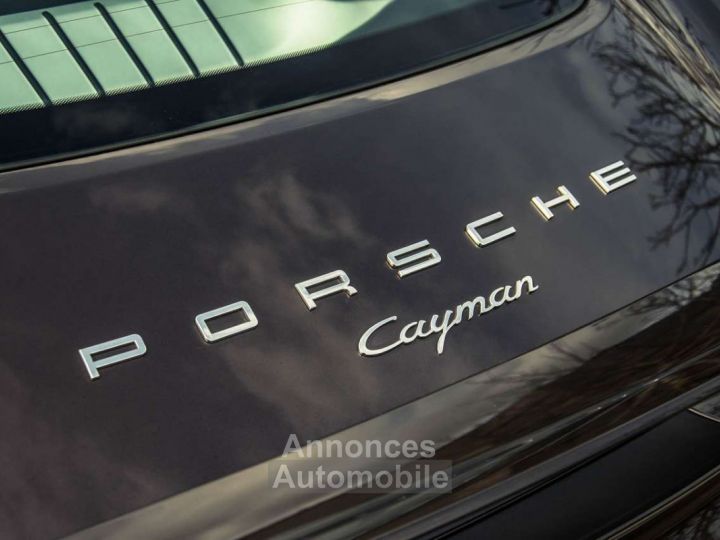Porsche Cayman 981 - 10