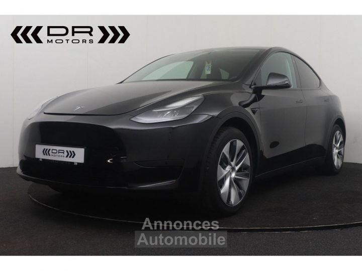 Tesla Model Y AUTOPILOT - PANODAK - 1