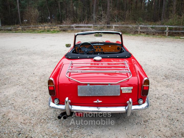 Triumph TR250 Overdrive 2.5L straight 6 with 111bhp - 22