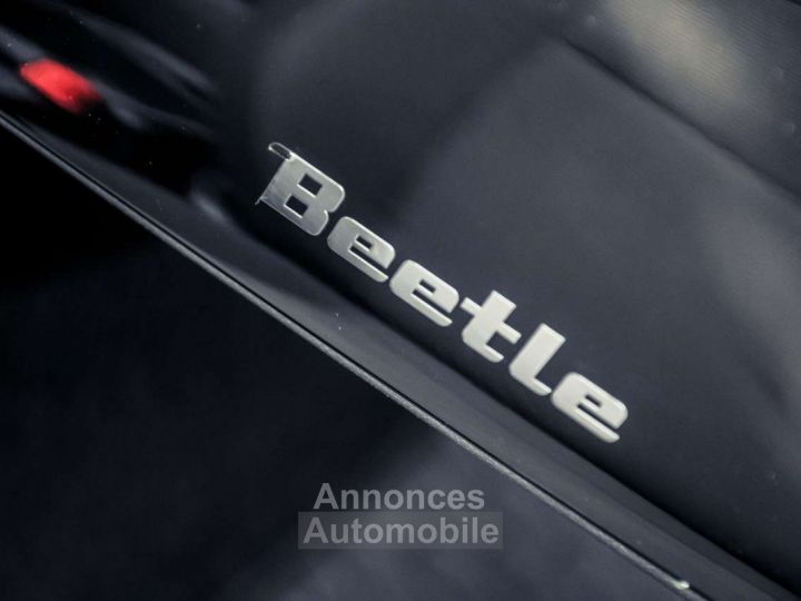 Volkswagen Beetle - 19