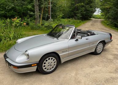 Vente Alfa Romeo Spider Occasion