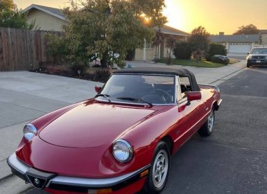 Alfa Romeo Spider