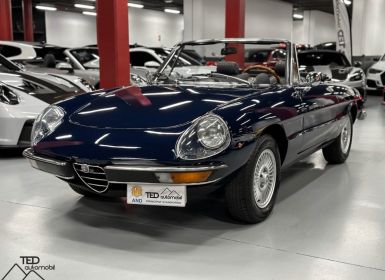 Vente Alfa Romeo Spider 1974 Restaurat Occasion