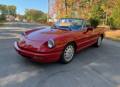 Vente Alfa Romeo Spider veloce  Occasion