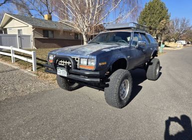 Achat AMC EAGLE Occasion