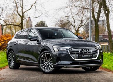 Achat Audi e-tron 50 Quattro Occasion