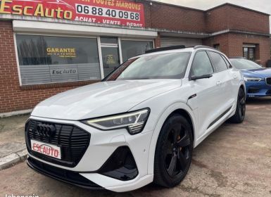 Vente Audi e-tron 50 s-line 313 cv Occasion