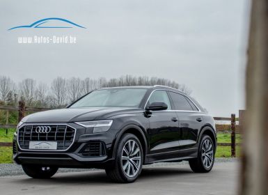 Audi Q8 50 TDi 3.0 V6 Quattro Tiptronic - HEAD-UP DISPLAY - CAMERA - APPLE CARPLAY - ADAPT. CRUISECONTROL - EURO 6 Occasion