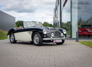 Austin Healey 100 100/6 Occasion