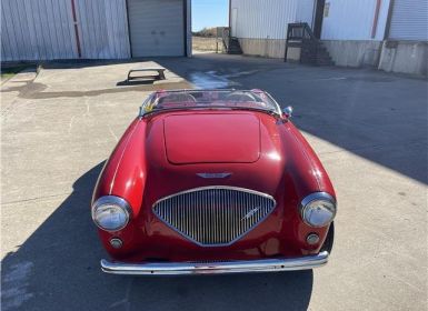 Austin Healey 100 Occasion