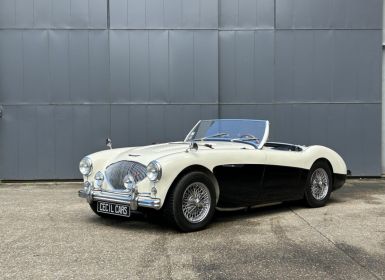 Vente Austin Healey 100 BN2 Occasion