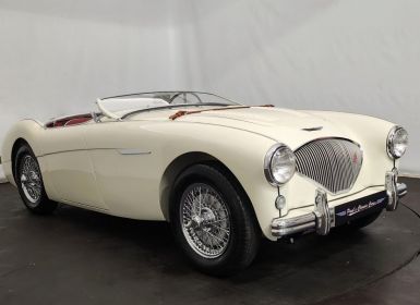 Austin Healey 100 kit Le Mans