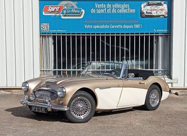 Austin Healey 3000 MK2 BJ7