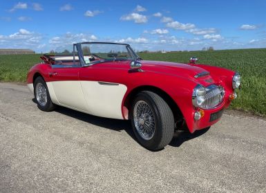 Achat Austin Healey 3000 BJ8 6 cylindres Occasion