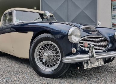 Austin Healey 3000 BN7 MKI Occasion