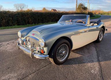 Vente Austin Healey 3000 MK 6 Cylindres Occasion