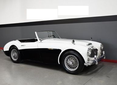 Vente Austin Healey 3000 SYLC EXPORT Occasion