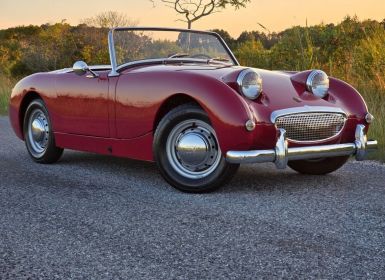 Achat Austin Healey Sprite Occasion