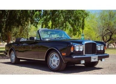 Achat Bentley Continental Convertible  Occasion