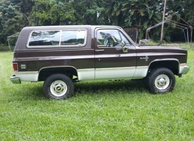 Achat Chevrolet Blazer 1/2 ton nominal  Occasion