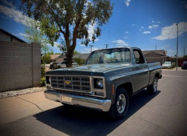 Achat Chevrolet C10 Occasion