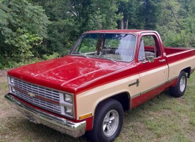 Chevrolet C10 Occasion